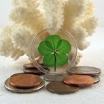 5-leaf-clover-coin.jpg