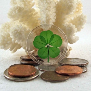 5 Leaf Clover Good Luck Pocket Token