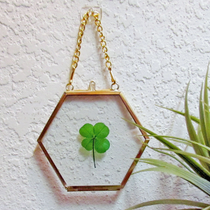 Four Leaf Clover Brass and Glass Wall Hanging Frame