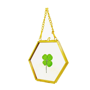 Four Leaf Clover Brass and Glass Wall Hanging Frame