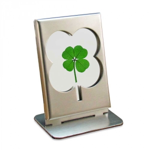 Four Leaf Clover Stainless and Glass Frame