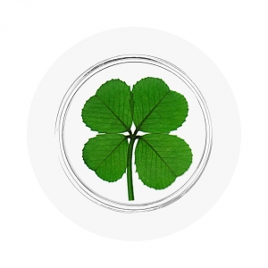 Four Leaf Clover Good Luck Pocket Token