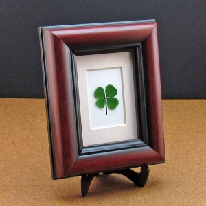Personalized Four Leaf Clover Mahogany Frame