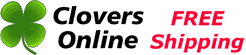 Clovers Online logo