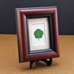 5 Leaf Clover Mahogany Frame