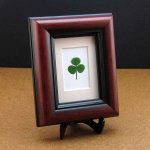 Mahogany Frame with a Genuine Shamrock and Irish Blessing