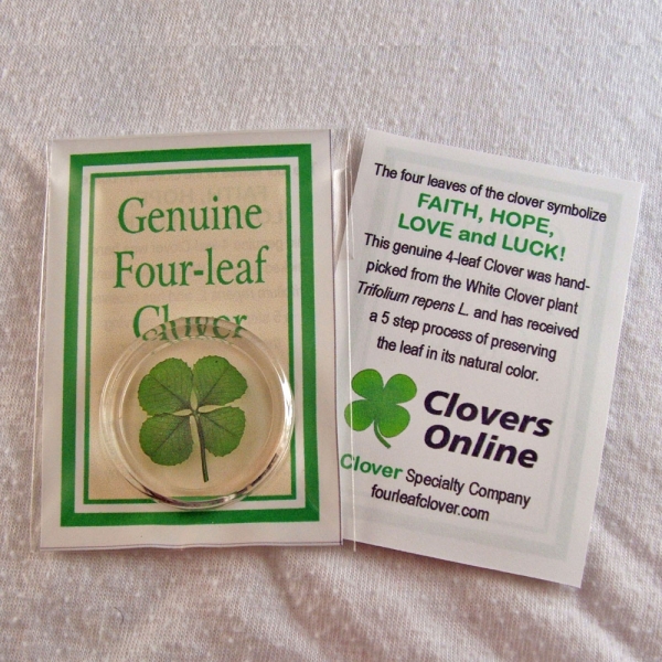 Real Four Leaf Clover Good Luck Pocket Token, Preserved, 1.25