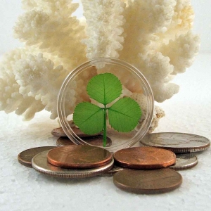 Shamrock Good Luck Pocket Token