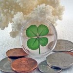 four-leaf-clover_coin.jpg